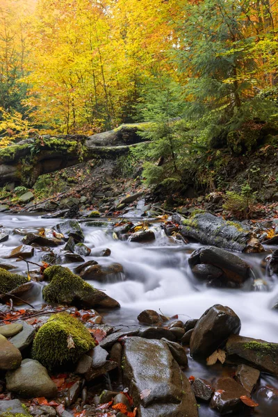 Karpat sonbahar ormanlarında şelale.
