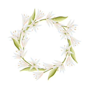 Bahar beyaz çiçekleri suluboya çelenkler. Yeşil yaprakları ve kopyalama alanı olan basit kır çiçekleri çerçevesi. Düğün tasarımları için minimalist tarzda narin çiçek etiketi çizimi.