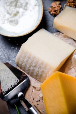 Peynir mezeci. Farklı türde peynirler. Büyük yelpazede uluslararası peynir. Üst görünüm.