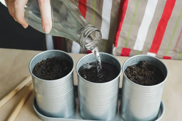 Vrouw Planten Zaden Metalen Potten Stockfoto Afbeelding — Stockfoto