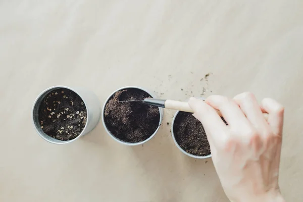 妇女种植种子在金属盆 股票照片图像 — 图库照片