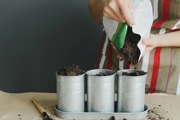 Vrouw Giet Bodem Metalen Pot Aanplant Groen Concept Stockfoto Afbeelding — Stockfoto