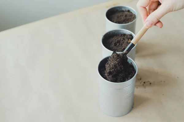 Mão Mulheres Coloca Solo Metálica Vaso Flores Imagem Foto Estoque — Fotografia de Stock