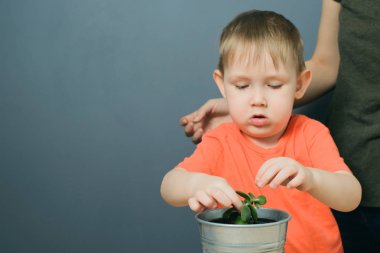 anne ve oğlu metal saksı para ağaç bitki dikim
