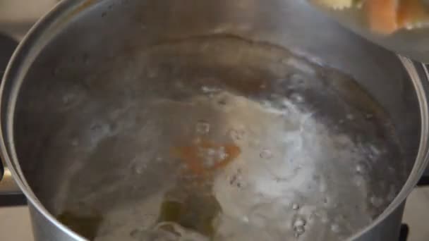 Mujer Europea Pone Farfalle Pasta Lazo Colorido Agua Hirviendo Tazón — Vídeo de stock