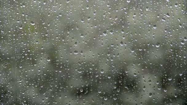 Débilmente Gotas Agua Lluvia Caen Golpean Fluyen Ventana Vidrio Mal — Vídeo de stock