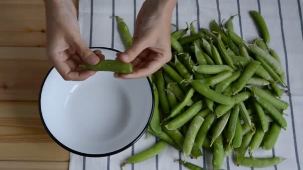 Womans Hand Taking Fresh Ripe Green Pea Bean Heap Striped — Stock Video