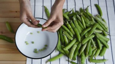 kadın elleri metal kase taze olgun yeşil bezelye fasulye açılması, ahşap masa arka plan üzerinde çizgili peçete ve bakla yığını, gerçek zamanlı olarak closeup full hd stok video görüntüleri üst görünümü