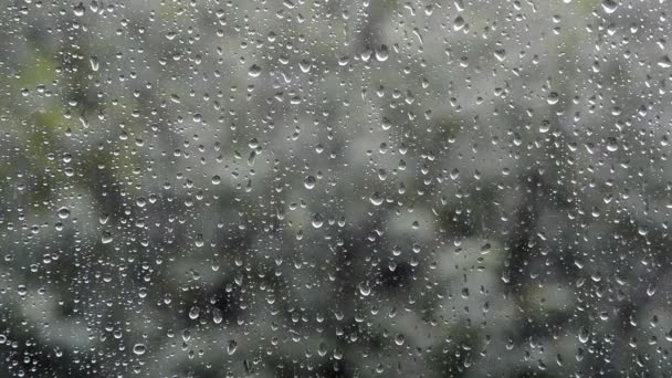 Сильні Краплі Дощової Води Падають Витікають Межі Вікна Будинку Холодну — стокове відео