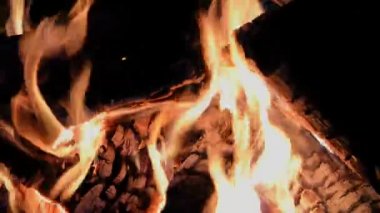 flame fire of bonfire with birch firewood on night