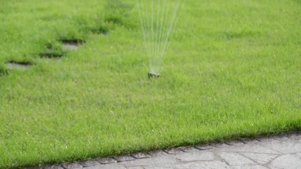 Tête Jardin Cour Pelouse Système Arrosage Automatique Herbe Fermer Vidéo — Video