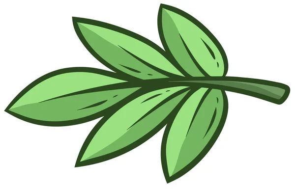 Карикатурно-зеленая ветвь и листья эвкалипта — стоковый вектор