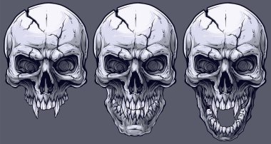 Detaylı grafik gerçekçi serin siyah beyaz insan kafatasları keskin köpek dişi ve çatlaklar ile. Gri arka plan üzerinde. Vektör Icon set.