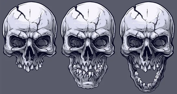 Detailed Graphic Realistic Cool Black White Human Skulls Crack Broken — Stock Vector