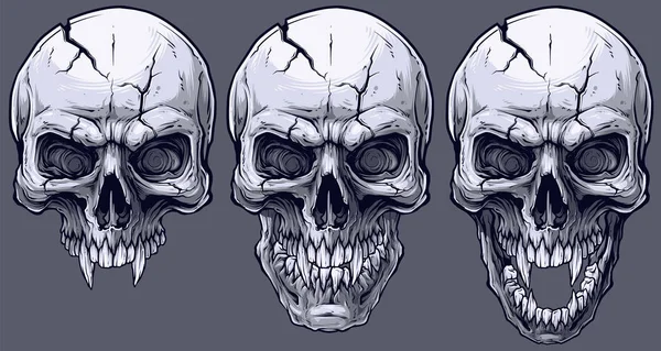 Calaveras Humanas Blanco Negro Frescas Realistas Gráficas Detalladas Con Caninos — Vector de stock