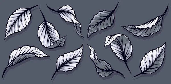 Graphic Different Silhouette Black White Leaves Gray Background Vector Icon — Stock Vector