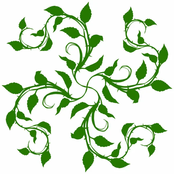 Graphic green silhouette floral rose branch with leaves and thorns. On white background. Vector icon set.