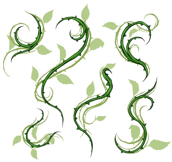 图形绿色剪影花玫瑰枝与叶子和刺 在白色背景上 矢量图标集 第1卷 — 图库矢量图片