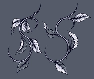 Grafik ayrıntılı siyah ve beyaz dal, kök yaprakları ve dikenleri ile yükseldi. Gri arka plan üzerinde izole. Vektör Icon set. Cilt 1