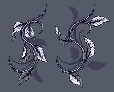 Grafik ayrıntılı siyah ve beyaz dal, yaprak, dikenler ve gölgeler ile kök yükseldi. Gri arka plan üzerinde izole. Vektör Icon set. Cilt 2