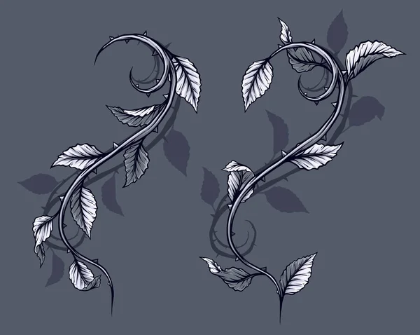 Graphic Detailed Black White Rose Branch Stem Leaves Thorns Shadows — Stock Vector