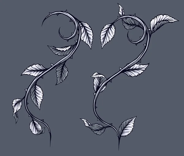 Thorn bush Vector Art Stock Images | Depositphotos Thorn bush Vector Art Stock Images | Depositphotos