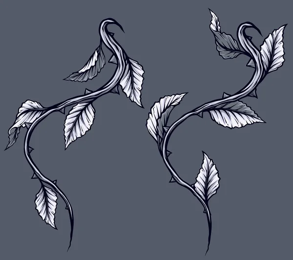 图详细的黑色和白色玫瑰枝 茎与叶子和刺 在灰色背景上隔离 矢量图标集 第4卷 — 图库矢量图片