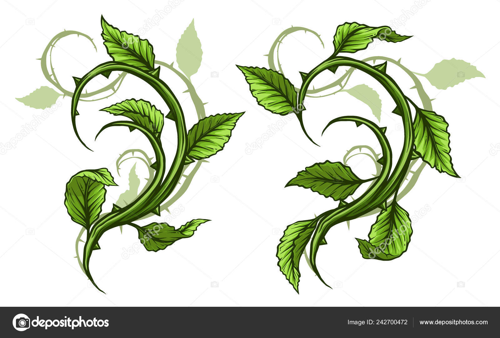 Graphic Cartoon Detailed Green Rose Branch Stem Leaves Thorns Shadows Stock Vector Image by ©GB_Art #242700472 Graphic Cartoon Detailed Green Rose Branch Stem Leaves Thorns Shadows Stock Vector Image by ©GB_Art #242700472