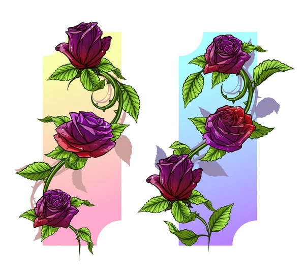 Gráfica Detallada Caricatura Violeta Rosas Rojas Flor Con Tallo Hojas — Archivo Imágenes Vectoriales