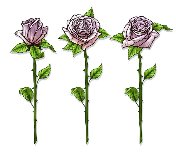 グラフィックは 漫画ピンク バラ花の茎や葉を詳しく説明します 白い背景上に分離 ベクトルのアイコンを設定 — ストックベクタ