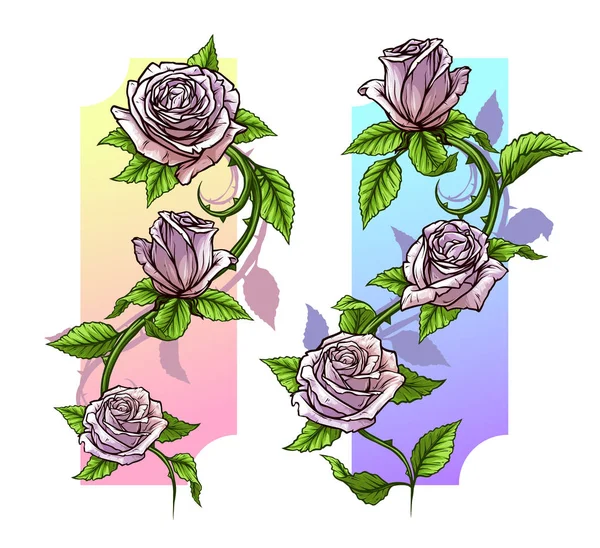 Graphic Detailed Cartoon Pink Roses Flower Stem Leaves White Background — Stock Vector