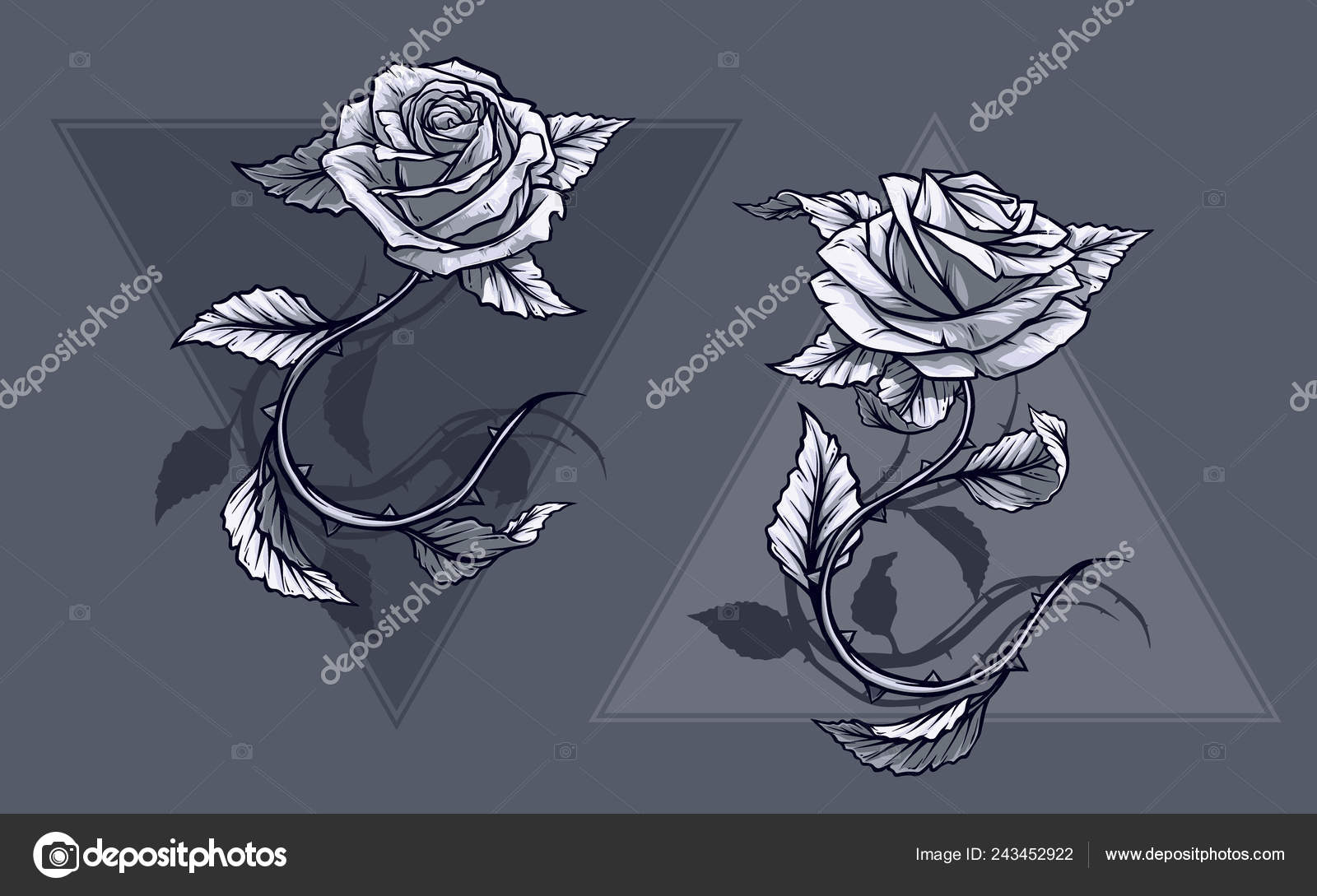 Black And White Rose With Stem
