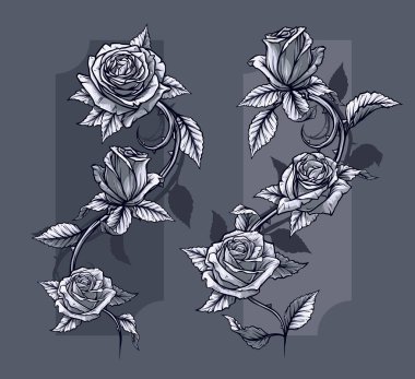 Grafik ayrıntılı grafik siyah ve beyaz güller çiçek ile kök ve yaprakları. Gri arka plan üzerinde. Vektör Icon set. Vol. 6