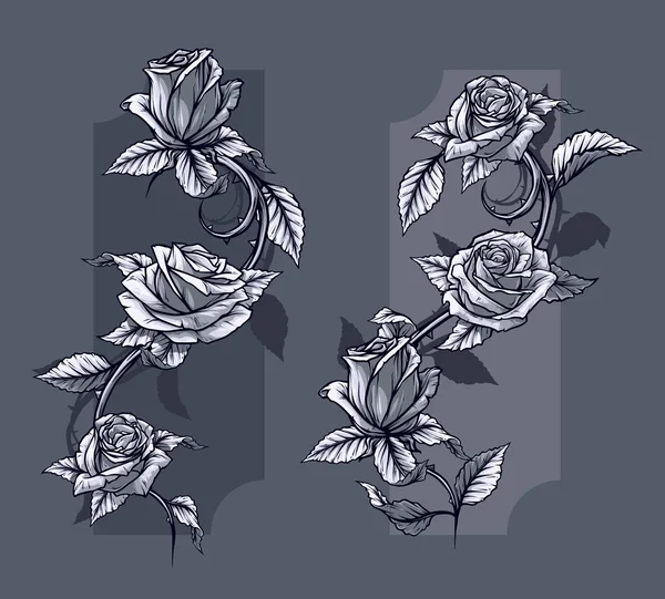 Gráfico Detallado Gráfico Blanco Negro Rosas Flor Con Tallo Hojas — Vector de stock