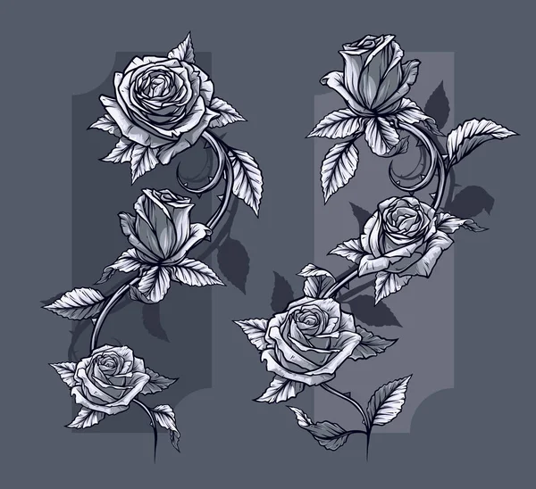 图形详细的图形黑色和白色玫瑰花与茎和叶 在灰色背景上 矢量图标集 第6卷 — 图库矢量图片
