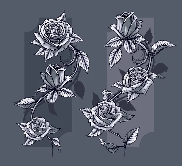 Gráfico Detallado Gráfico Blanco Negro Rosas Flor Con Tallo Hojas — Archivo Imágenes Vectoriales