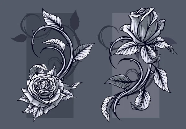 Graphic Detailed Graphic Black White Roses Flower Stem Leaves Gray — Stock Vector