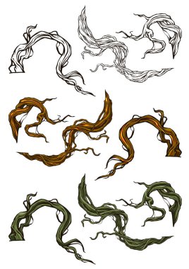 Karikatür grafik Ağaç kökleri ve küme şubeleri