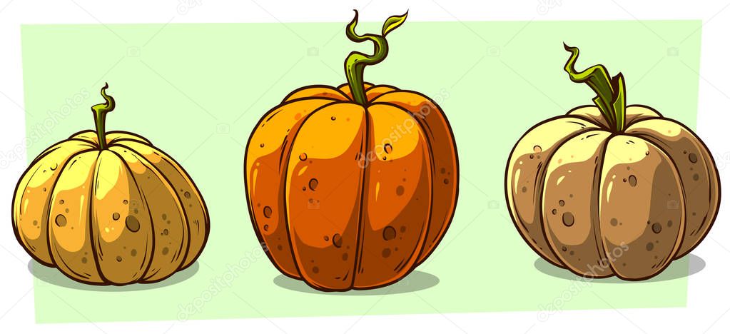 Cartoon colorful different halloween pumpkins. Isolated on green background. Vector icon set.