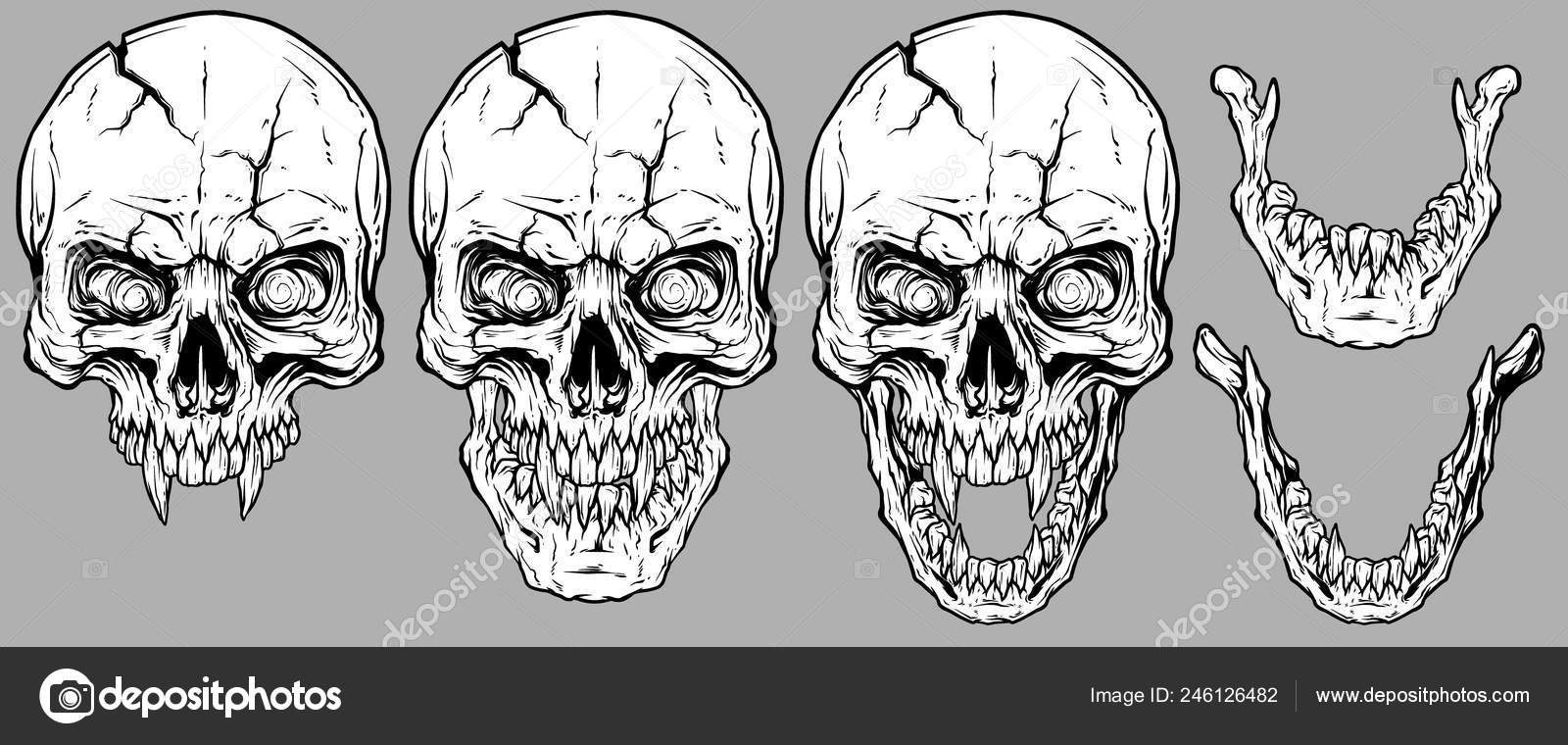자세한 그래픽 현실적인 인간의 두개골 날카로운 아이콘 스톡 벡터 - ©GB_Art 246126482, image size:1600x760