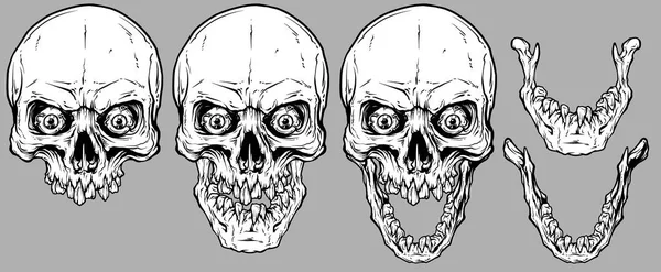 Detailed Graphic Realistic Cool White Human Skulls Broken Teeth Crazy — Stock Vector