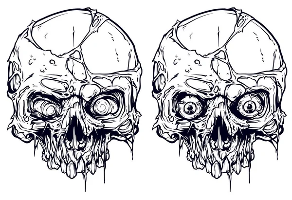 Calaveras Humanas Blancas Frescas Realistas Gráficas Detalladas Sin Mandíbula Inferior — Archivo Imágenes Vectoriales