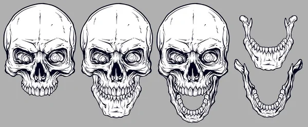 詳細なグラフィック現実的なクールな白い人間の頭骨と下顎 灰色の背景 ベクトルのアイコンを設定 — ストックベクタ
