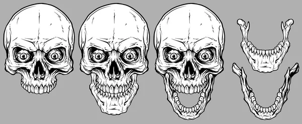 Detailní Grafické Realistické Chladné Bílé Lidské Lebky Bláznivý Oči Dolní — Stockový vektor