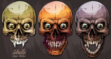 Detailed graphic colorful human skulls set clipart
