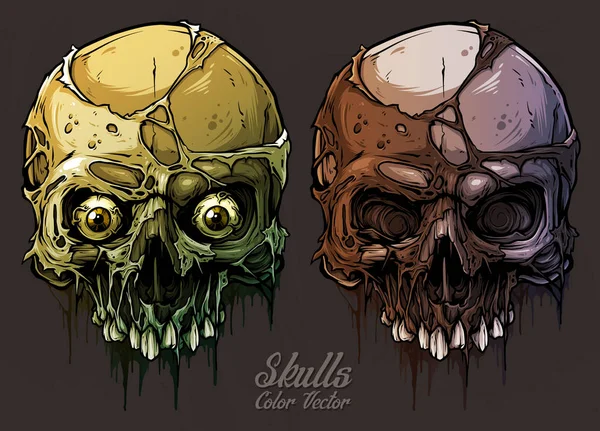 Conjunto detallado de cráneos humanos coloridos gráficos — Vector de stock