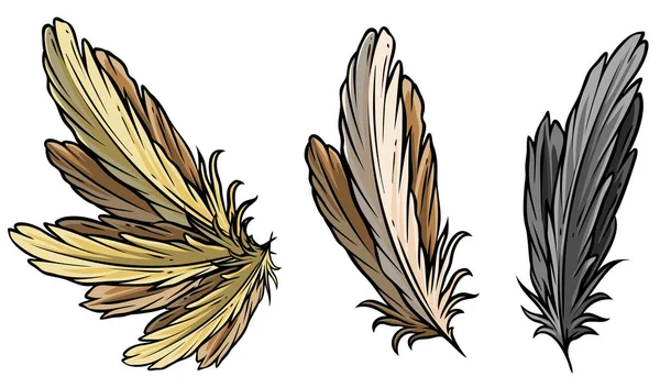 Детальные птичьи перья и векторный набор крыльев — стоковый вектор