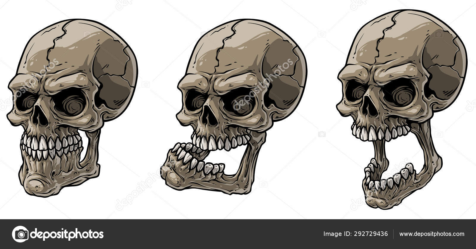 Cartoon realistic scary human skulls vector set Stock Vector Image by  ©GB_Art #292729436