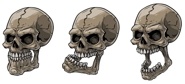 Cartoon realistic scary human skulls vector set — Stock Vector