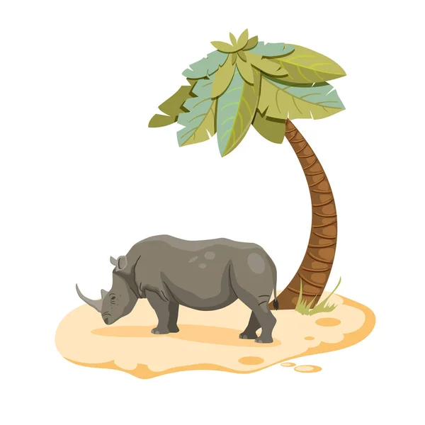 Big Rhinoceros Palm Tree - Stok Vektor